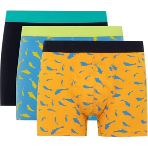 Regular Fit 3'lü Boxer W9686AZ24SM
