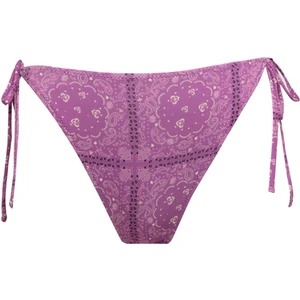 Regular Fit Şal Desenli Bikini Altı-Fall in Love C3177AX24SM