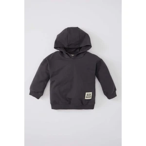 Kız Bebek Kapüşonlu Baskılı İçi Yumuşak Tüylü Sweatshirt C2429A524SP
