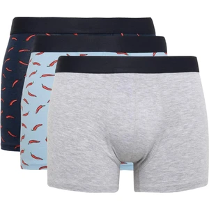 Regular Fit 3'lü Boxer B7967AX24SP