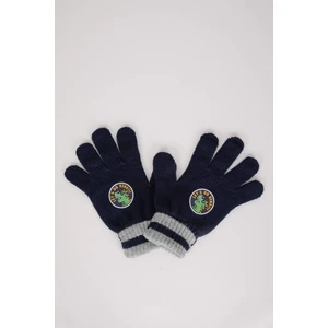Erkek Çocuk Triko Eldiven S0406A623WN
