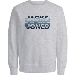 Jack & Jones Erkek Bisiklet Yaka Baskili Sweatshirt - Ray