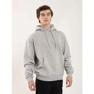 Gri Melanj Erkek Regular Fit Kapüşonlu Sweatshirt
