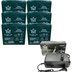 6'lı Set 12V 24 Ah Elektrikli Motosiklet Aküsü ve 72V 24AH Elektrikli Bisiklet Şarj Aleti Seti