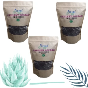 Cemre Botanik Sukulent Toprağı 2 Litre x 3 Adet ( ÜÇ AL İKİ ÖDE )