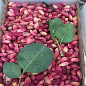 Konaç Gıda Taze Antep Ben Fıstığı 1 kg