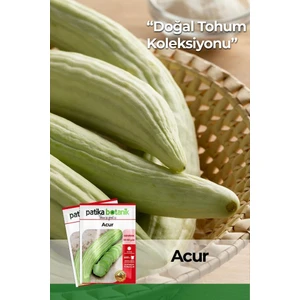 Patika Botanik 100 Adet Acur Tohumu