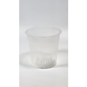 Plant Momzie 11 cm Şeffaf Saksı