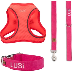 Lusi Doog Kişiye Özel Köpek Tasma Seti Isimli Köpek Göğüs Tasması Köpek Boyun Tasması Köpek Gezdirme Kayışı