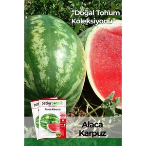 Patika Botanik 100 Adet Alaca Karpuz Tohumu
