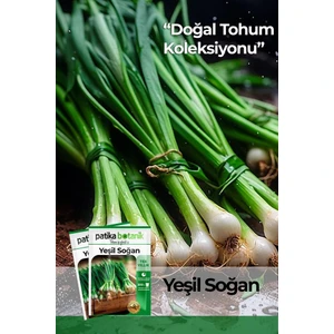 Patika Botanik 500 Adet Yeşil Soğan Tohumu