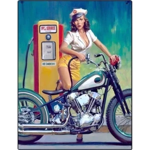 Koleksiyon Hot Biker Metal Plaka Levha 20X30CM