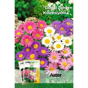 Patika Botanik 50 Adet Aster Çiçeği Tohumu