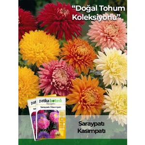 Patika Botanik 50 Adet Saray Patı (Kasım Patı) Çiçek Tohumu