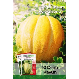 Patika Botanik 150 Adet 10 Dilim Çorum Kavun Tohumu