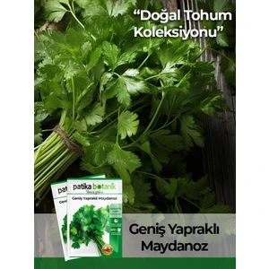 Patika Botanik 4000 Adet Yerli Ata Geniş Yapraklı Maydonoz Tohumu
