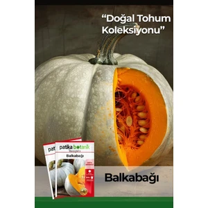 Patika Botanik 12 Adet Yerli Ata Balkabağı Tohumu (Turuncu Etli)