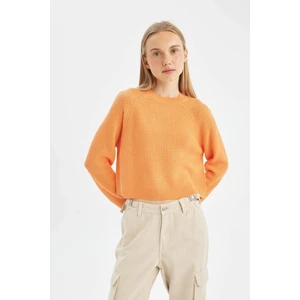 Coool Regular Fit Bisiklet Yaka Basic Düz Triko Kazak L2567AZ24WN