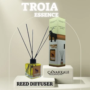 Çanakkale Kolonyaları Bambu Çubuklu Oda Kokusu (Troıa) 100 ml Cam Şişe