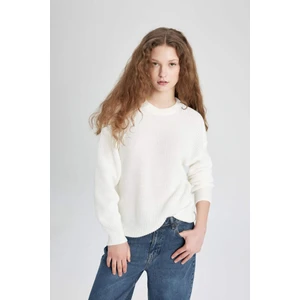 Regular Fit Bisiklet Yaka Selanik Kumaş Basic Düz Triko Kazak H6905AZ24WN