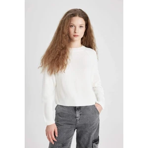 Coool Regular Fit Bisiklet Yaka Basic Düz Triko Kazak L2567AZ24WN