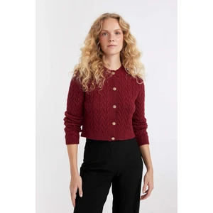 Regular Fit Bisiklet Yaka Saç Örgü Desenli Düğmeli Triko Hırka C9044AX24WN