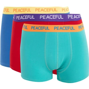 Regular Fit 3'lü Boxer B7774AX24AU
