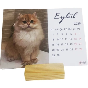 Dikkat Ajans 2025 Kedi Masa Takvimi
