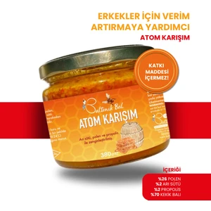 Atom Karışımı 380 gr