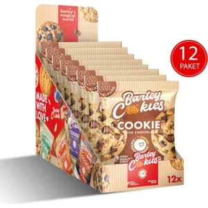 Barley Cookies Parça Çikolatalı Sade Classic Cookies 40G x 12 Paket