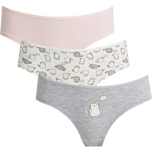 3'lü Hipster Külot U6047AZ24SP