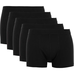 Regular Fit 5'li Boxer W6735AZ23SP