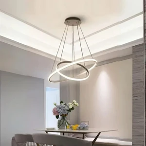 Robin 2 'li Gri Günışığı Ledli Modern Avize
