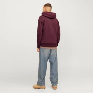 Jack & Jones Erkek Kapüsonlu Gögüs Logo Baskili Sweatshirt - Alvis