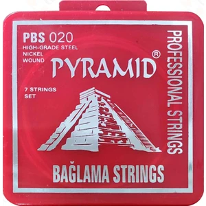 Gold Saz Teli 1 Takım