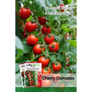 Patika Botanik 100 Adet Cherry Tipi Pinpon Domates Tohumu