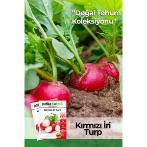 Patika Botanik 400 Adet Yerli Ata İri Kırmızı Turp Tohumu
