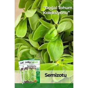 Patika Botanik 6000 Adet Semizotu Tohumu