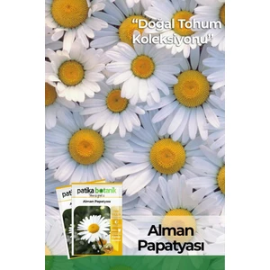 Patika Botanik 100 Adet Alman Papatya Tohumu
