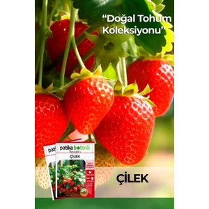 Patika Botanik 100 Adet Sarmaşık Çilek Tohumu