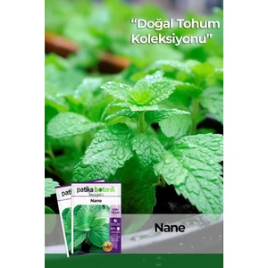 Patika Botanik 75 Adet Ata Tohumu Yerli Nane (Mentha)