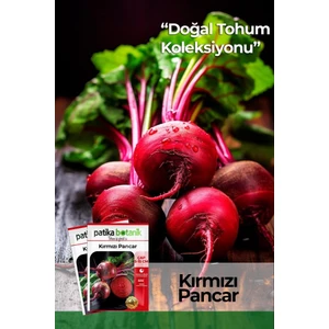 Patika Botanik 75 Adet Yerli Ata Kırmızı Pancar Tohumu