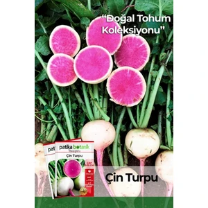 Patika Botanik 500 Adet Çin Turp Tohumu