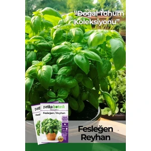 Patika Botanik 80 Adet Yerli Ata Yeşil Fesleğen - Yeşil Reyhan (Ocimum Basilicum) Tohumu