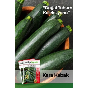 Patika Botanik 25 Adet Kolsuz Kara Kabak Tohumu