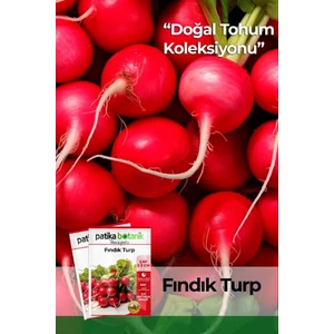 Patika Botanik 500 Adet Fındık Turp Tohumu 8682755106631GCL