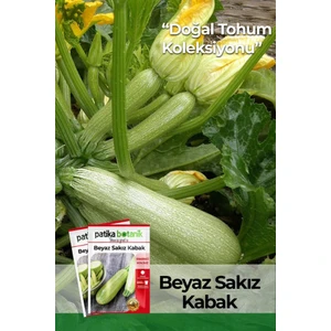 Patika Botanik 20 Adet Beyaz Sakız Kabak Tohumu