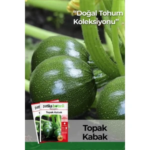 Patika Botanik 30 Adet Topak Kabak Tohumu