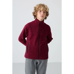 Erguvan Kalın Yumuşak Dokulu Standart Fit Nakışlı Polar Erkek Çocuk Sweatshirt - 11223