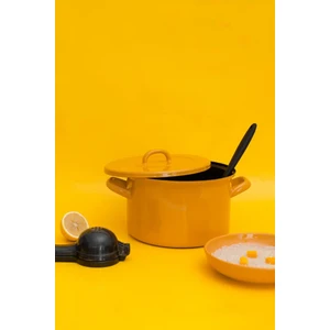 Rainpot Tencere 20CM